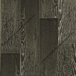 Prateria lupo 3
